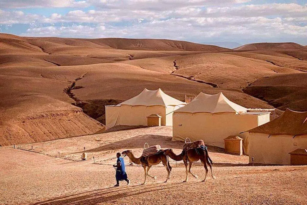 Berber tents and camels in the Agafay desert