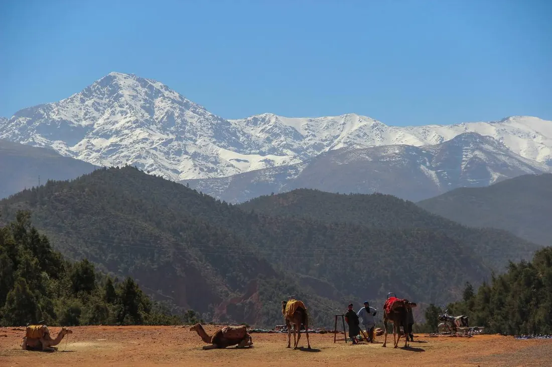 Snow-capped Atlas peaks above green foothills